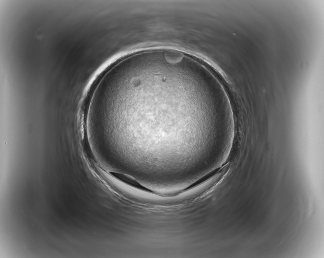 X0000085301510200703161424