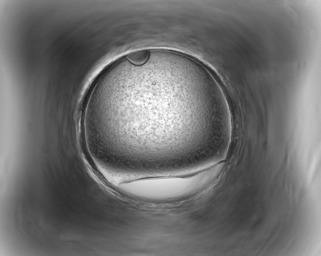 X0000085301511200703161424