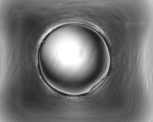 X0000085301512200703161424