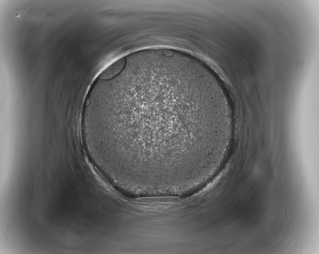 X0000085301513200703161424