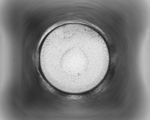 X0000085301514200703161424