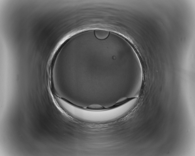 X0000085301515200703161424