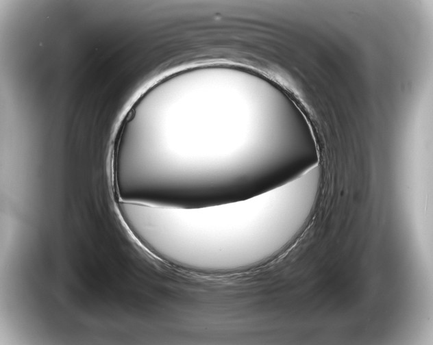 X0000085301516200703161424