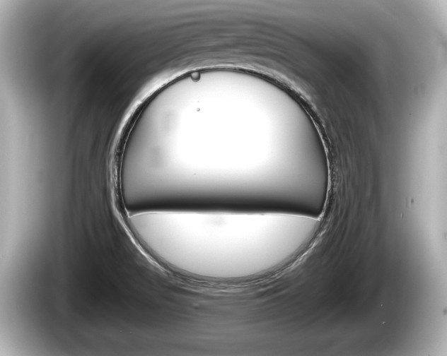 X0000085301517200703161424