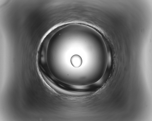 X0000085301518200703161424