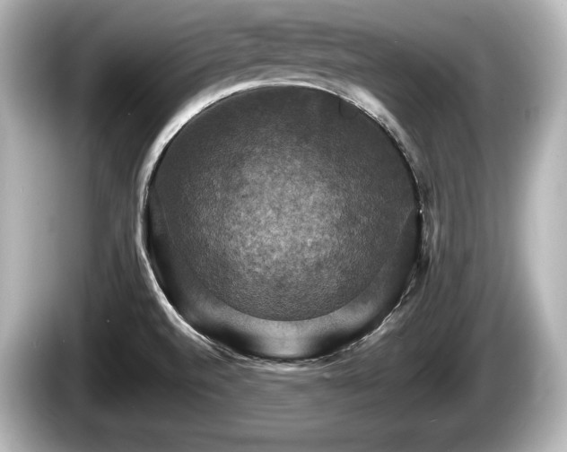 X0000085301520200703161424