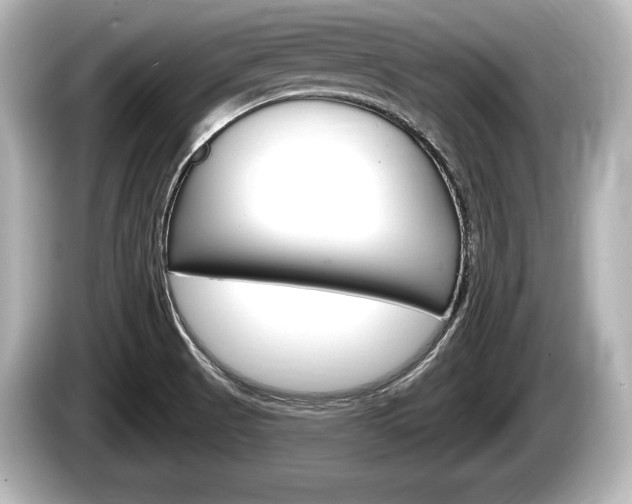 X0000085301521200703161424