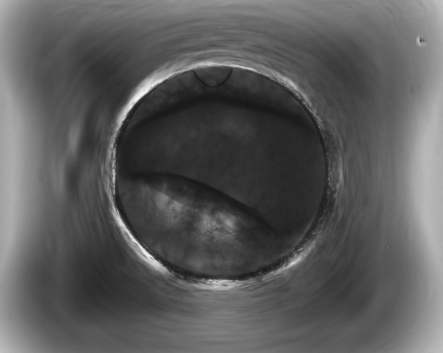 X0000085301522200703161424