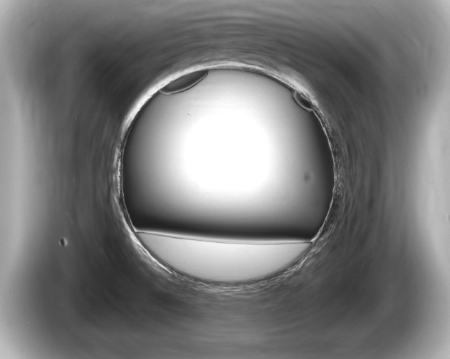 X0000085301524200703161425