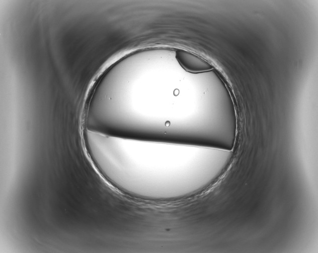 X0000085301525200703161425