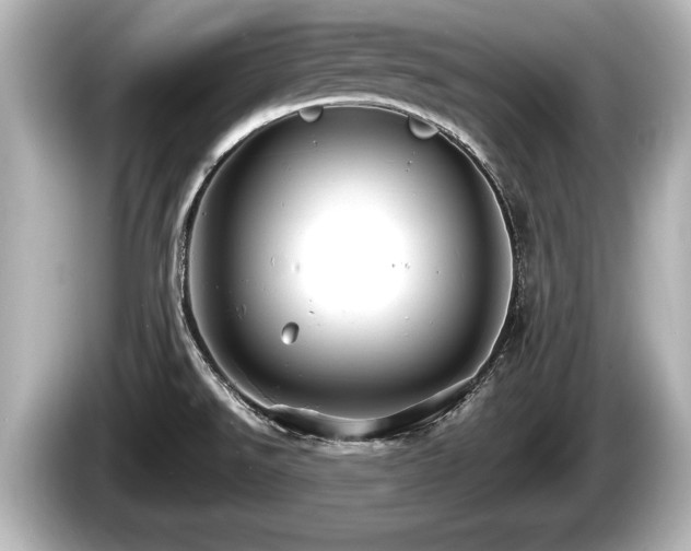 X0000085301526200703161425