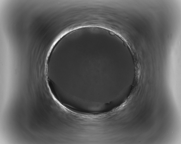 X0000085301527200703161425