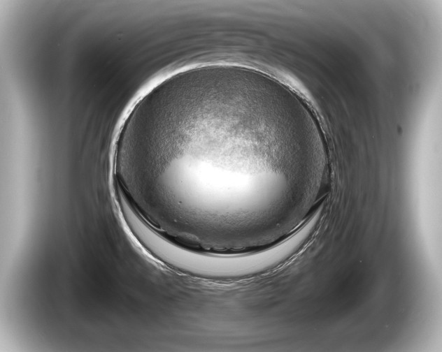 X0000085301528200703161425