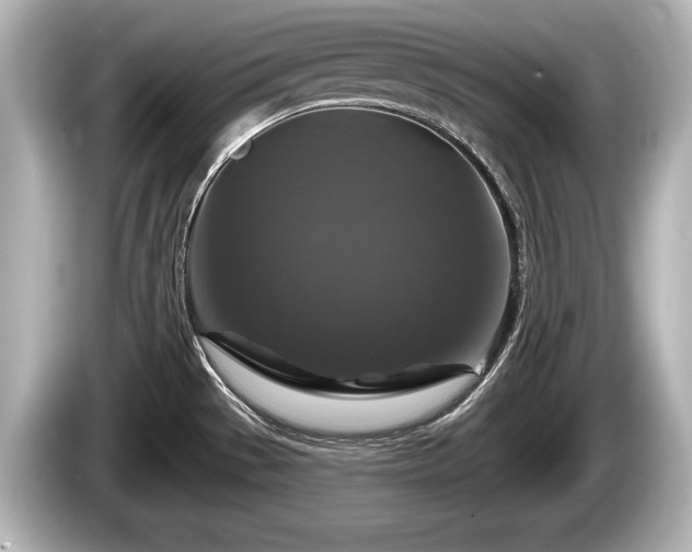 X0000085301529200703161425