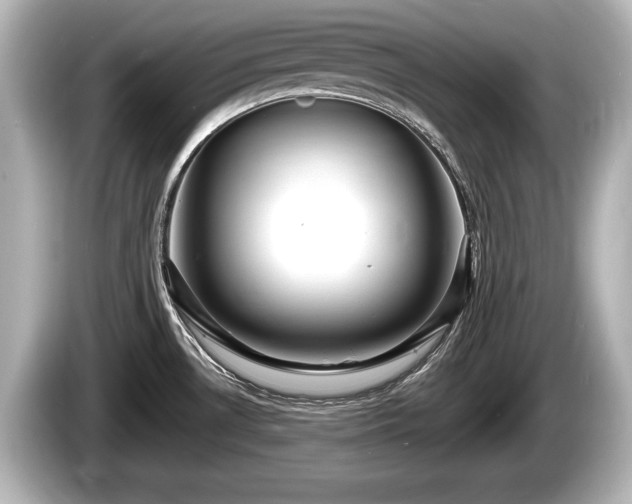 X0000085301530200703161425