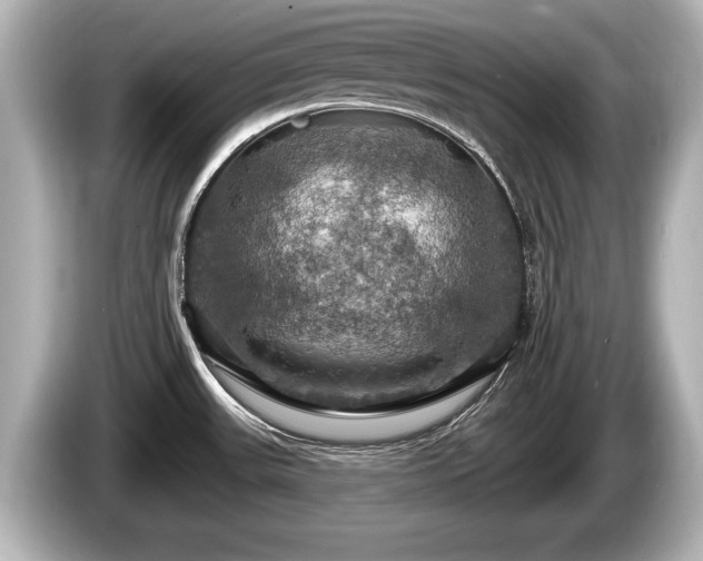 X0000085301531200703161425