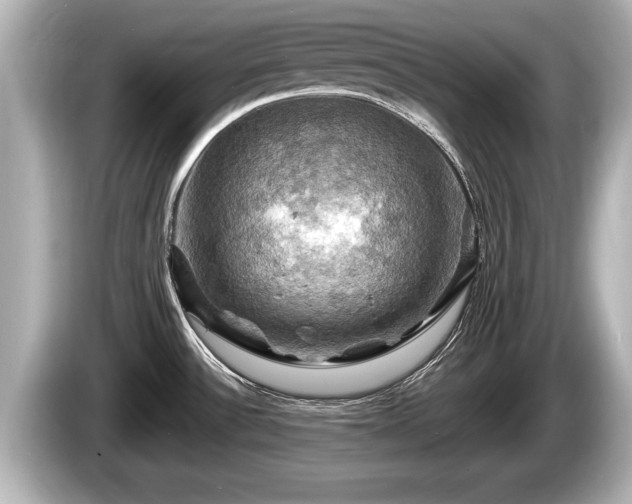 X0000085301532200703161425