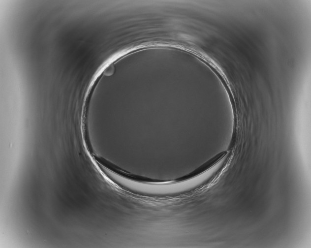 X0000085301533200703161425