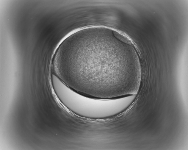 X0000085301534200703161425