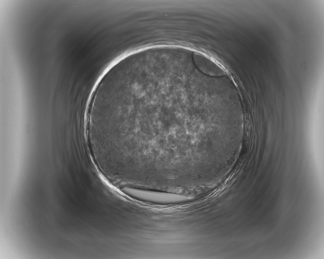 X0000085301535200703161425