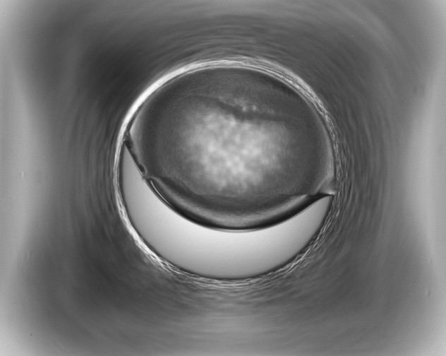 X0000085301536200703161425