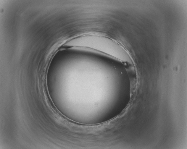 X0000085300001200703231910