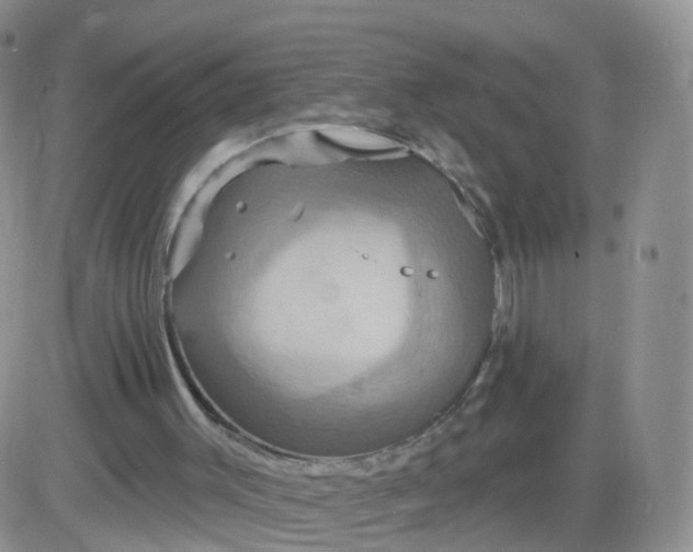 X0000085300003200703231910