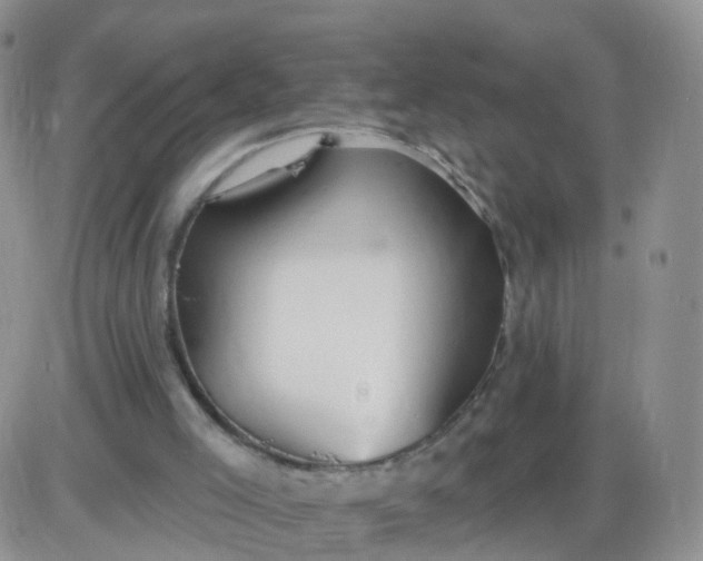 X0000085300005200703231910