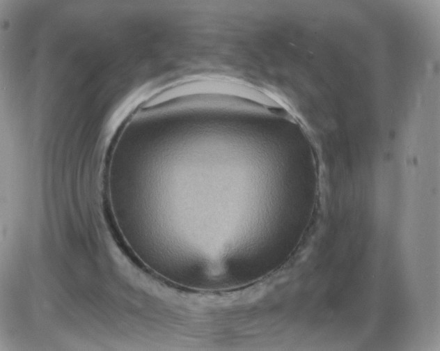 X0000085300007200703231910