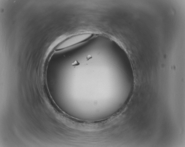 X0000085300008200703231910