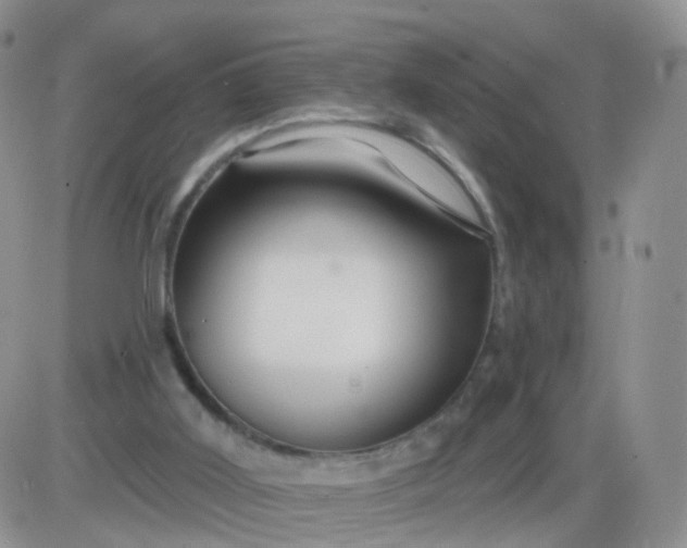 X0000085300011200703231910