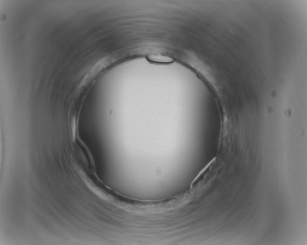 X0000085300013200703231910