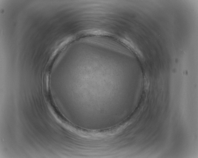 X0000085300014200703231910