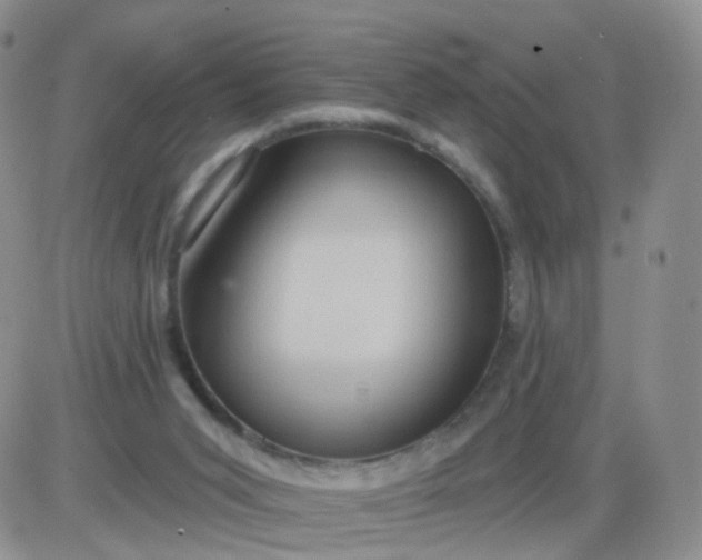 X0000085300015200703231910