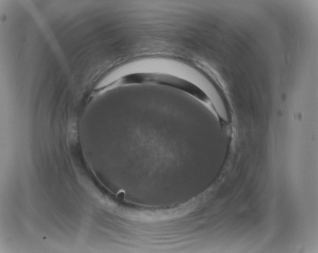 X0000085300017200703231910