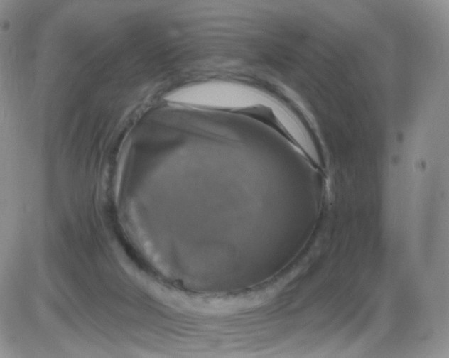 X0000085300018200703231910