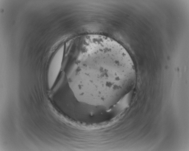 X0000085300019200703231910