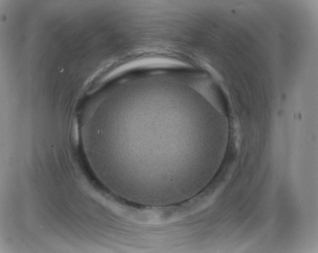 X0000085300020200703231910