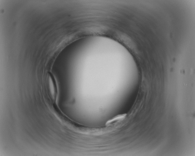 X0000085300021200703231910