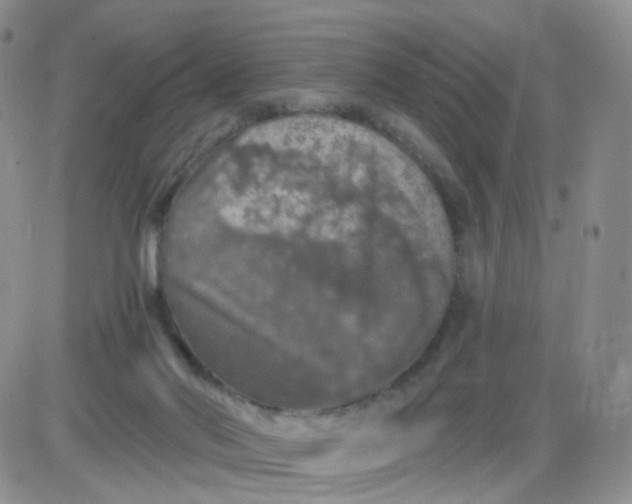 X0000085300022200703231910