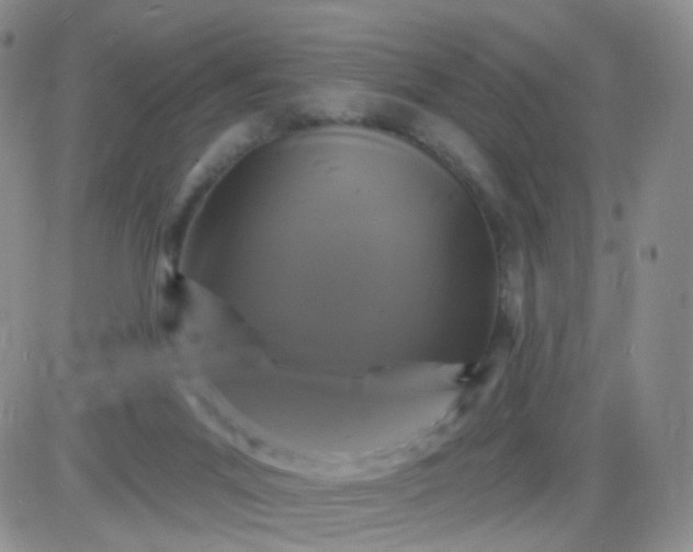 X0000085300023200703231910