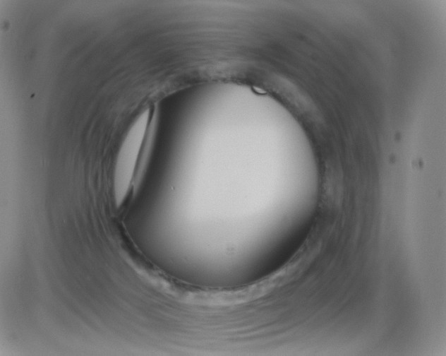 X0000085300025200703231910