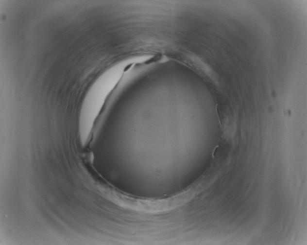 X0000085300027200703231909