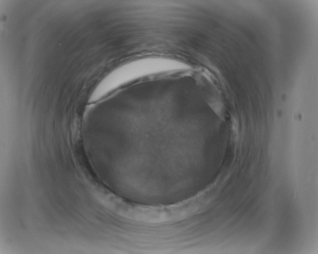 X0000085300029200703231909