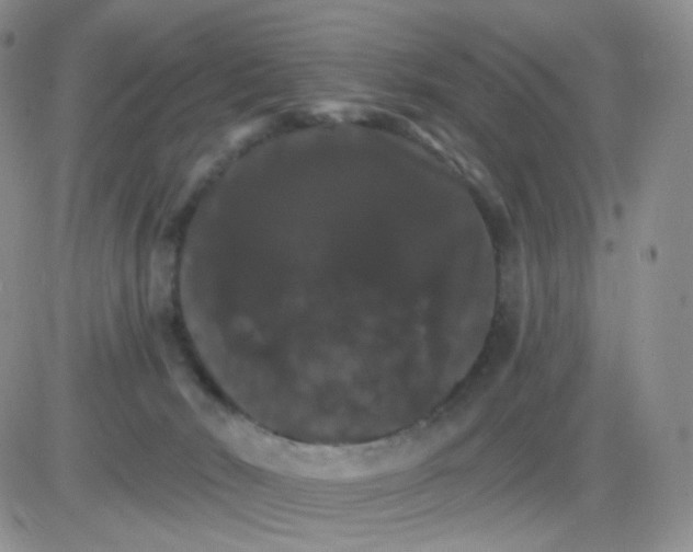 X0000085300030200703231909