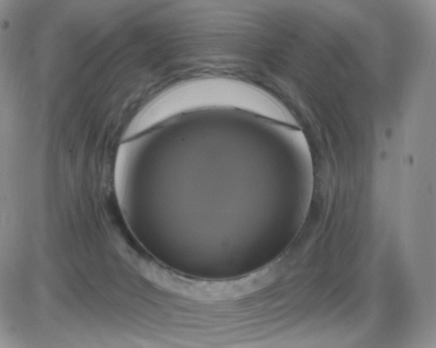 X0000085300031200703231909