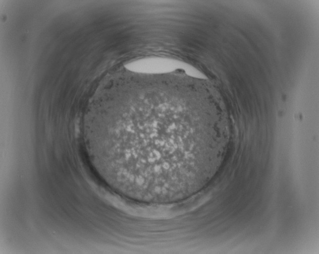 X0000085300032200703231909