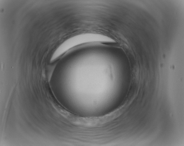 X0000085300033200703231909