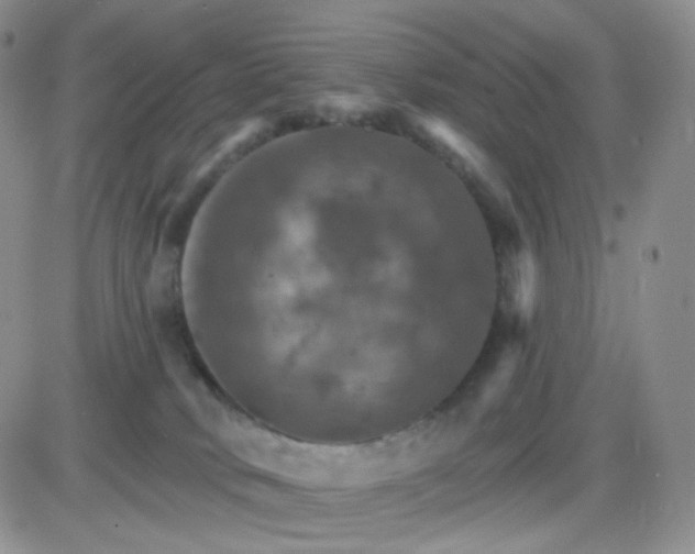 X0000085300034200703231909