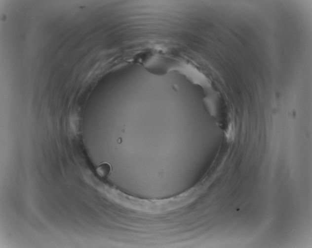 X0000085300035200703231909